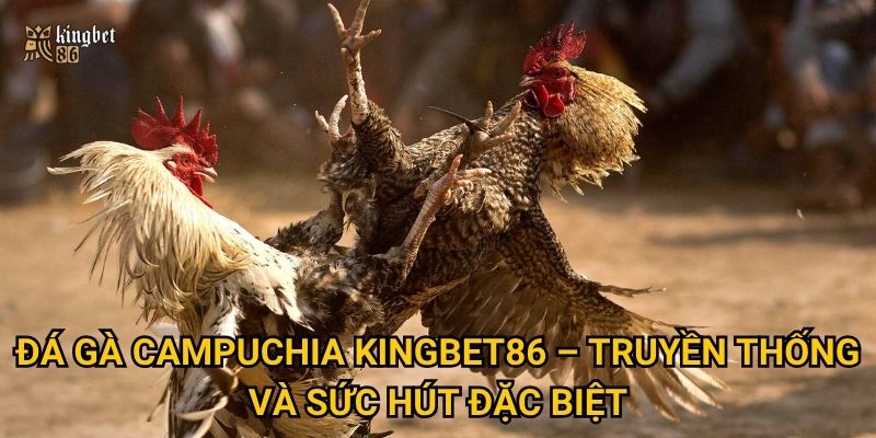 Đá gà Campuchia Kingbet86 – Truyền thống và sức hút đặc biệt
