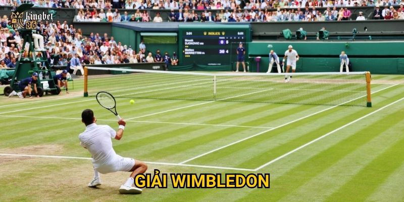 Giải Wimbledon Kingbet86 có gì đặc biệt cho fan quần vợt?
